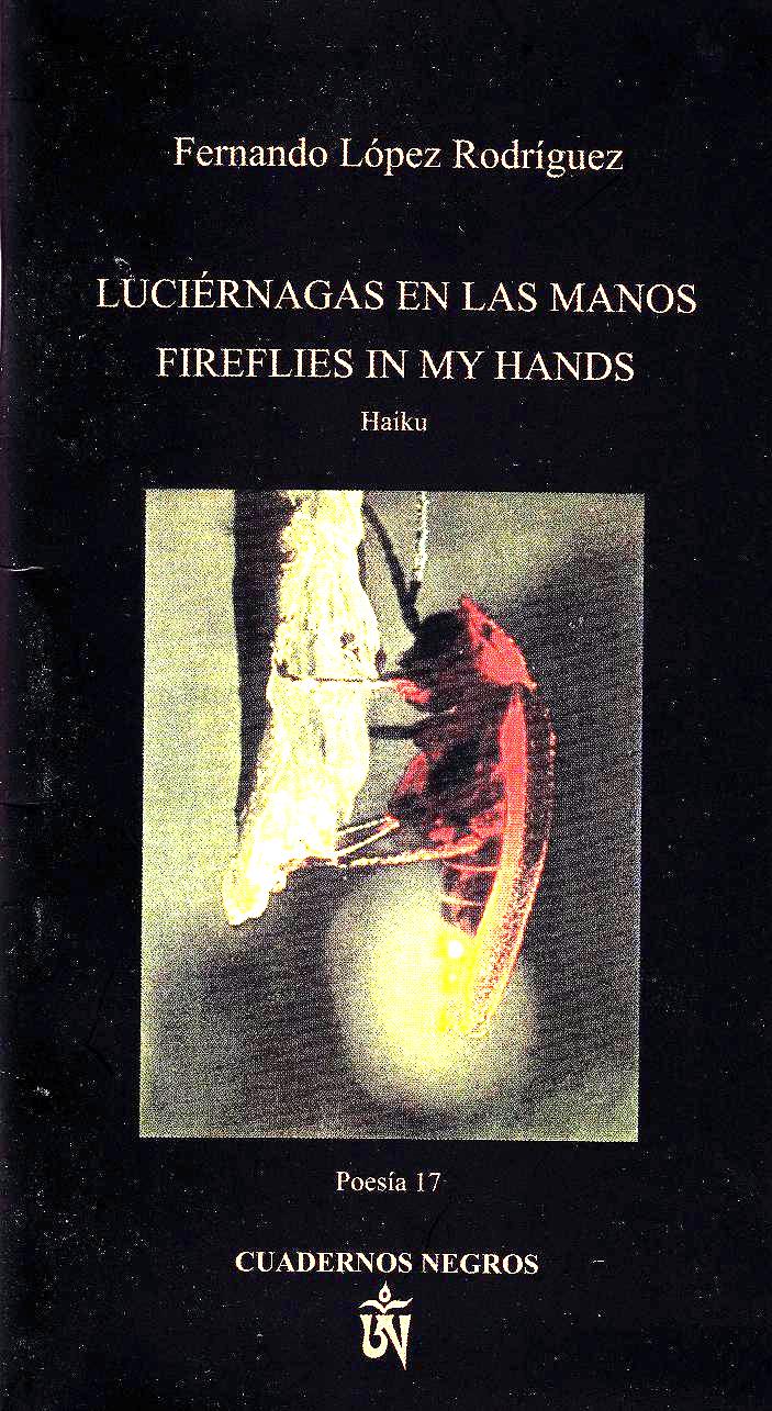 Fireflies in My Hands cover